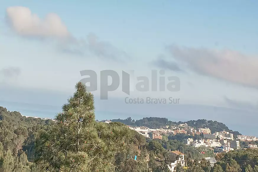 Villa con gran potencial, 2.000 m  de parcela y espacios sin límites en Los Pinares