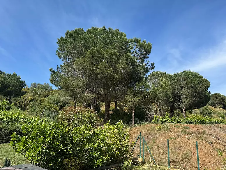 EXCLUSIVE HOUSE IN AN IDYLLIC ALT EMPORDÀ RESIDENTIAL AREA